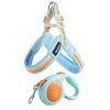 Dog leash chest strap vest