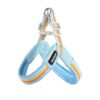 Dog leash chest strap vest