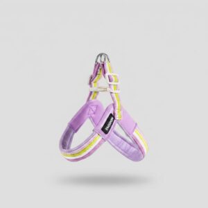 Dog leash chest strap vest